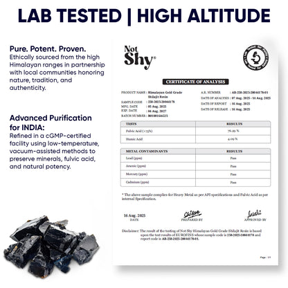 Not Shy Shilajit Himalayan Gold Resin – Premium Ayurvedic Shilajit with Fulvic Acid & 85+ Minerals, High-Altitude Himalayan Source, Daily Wellness Adaptogen Supplement for Men & Women - 20g