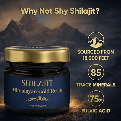 Not Shy Shilajit Himalayan Gold Resin – Premium Ayurvedic Shilajit with Fulvic Acid & 85+ Minerals, High-Altitude Himalayan Source, Daily Wellness Adaptogen Supplement for Men & Women - 20g