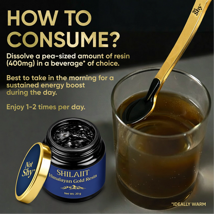 Not Shy Shilajit Himalayan Gold Resin – Premium Ayurvedic Shilajit with Fulvic Acid & 85+ Minerals, High-Altitude Himalayan Source, Daily Wellness Adaptogen Supplement for Men & Women - 20g