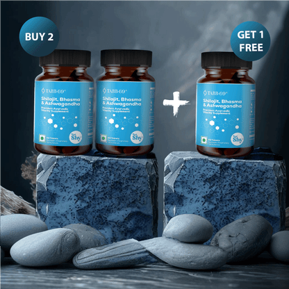 TABB-69 Men’s Shilajit, Bhasma & Ashwagandha Supplement – Buy 2 Get 1 Free Combo Offer Displayed on Stone Background